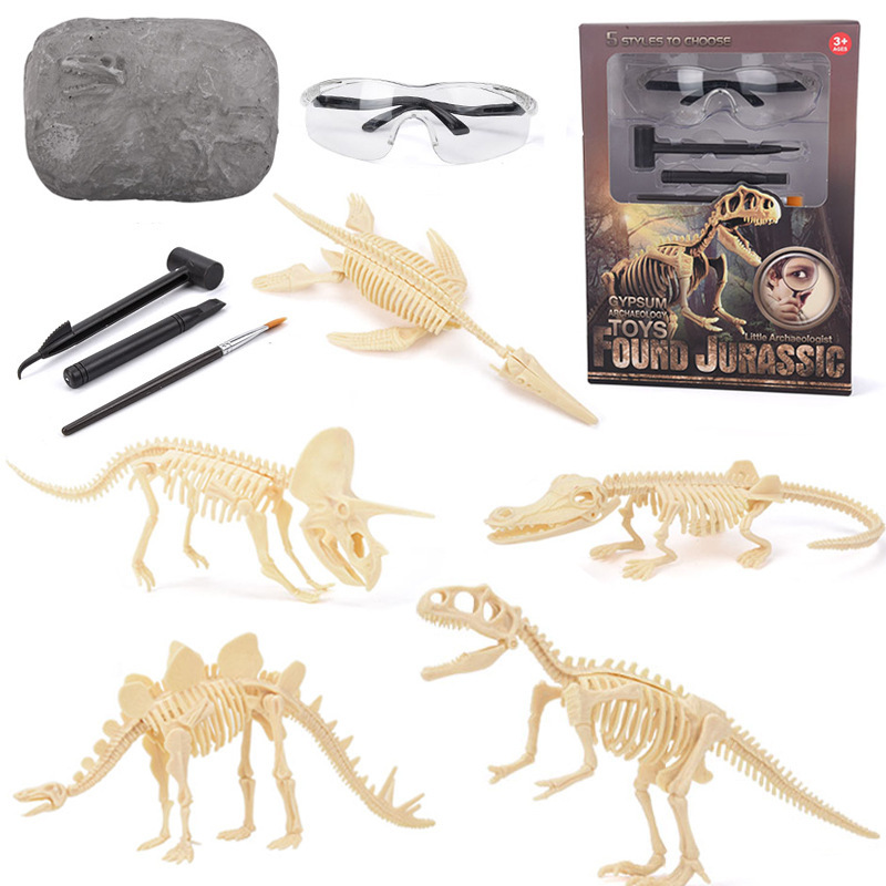 Science Toys - Zestaw do wykopalisk fosiliów dinozaurów STEM