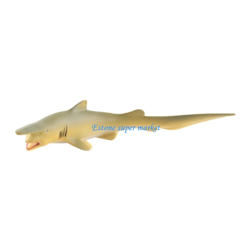 090B Model ryby mureny Realist – Science Exhibition Models recenzja i cena