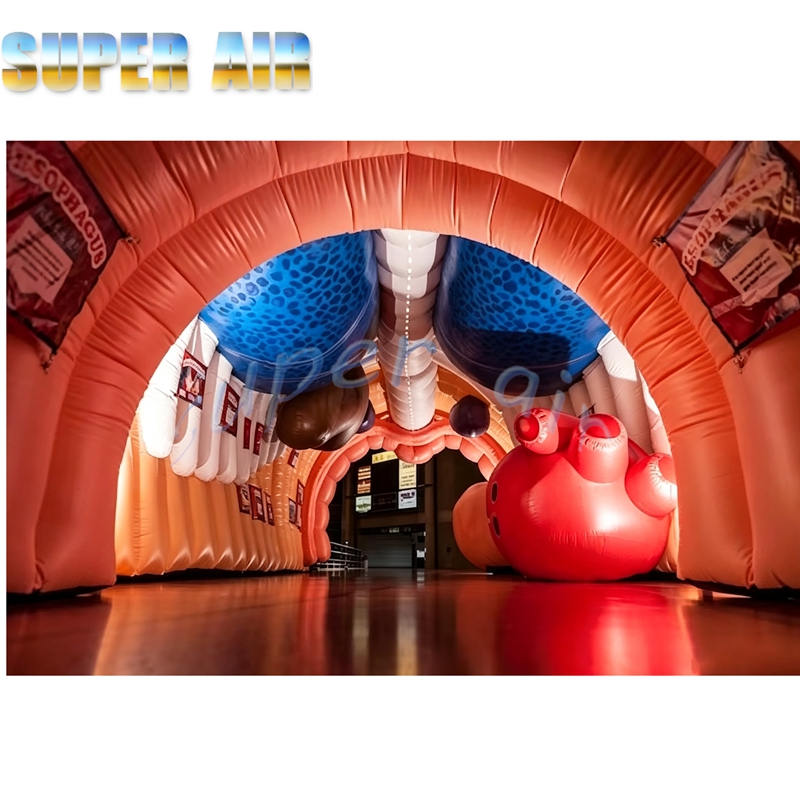Ogromny dmuchany model ludzkie – Science Exhibition Models recenzja i cena