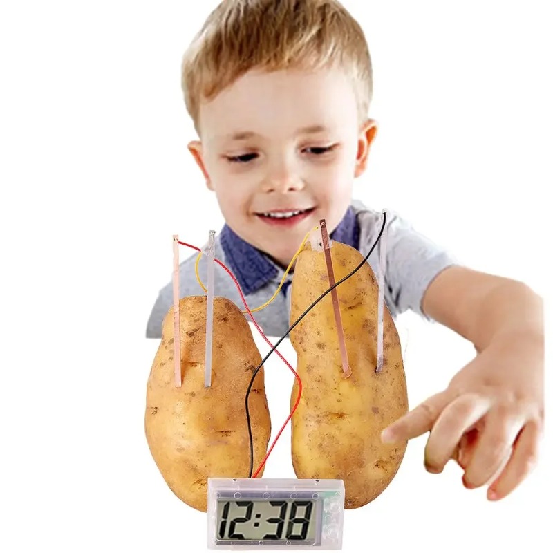 Nowa zabawka Montessori dla dz – Science Nature recenzja i cena