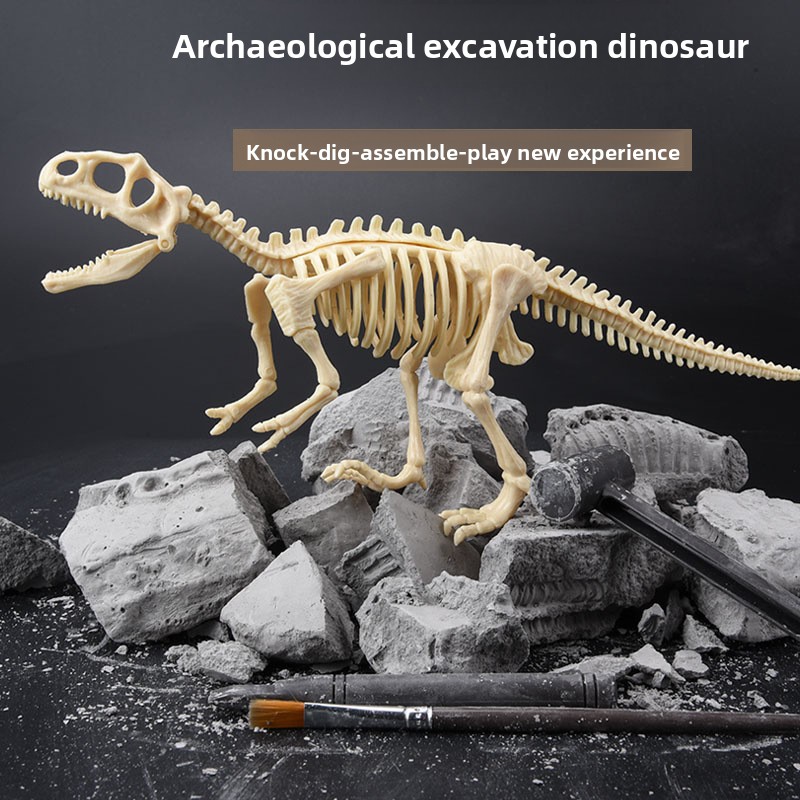 Zestaw do wykopalisk fosiliów  – Science Toys recenzja i cena