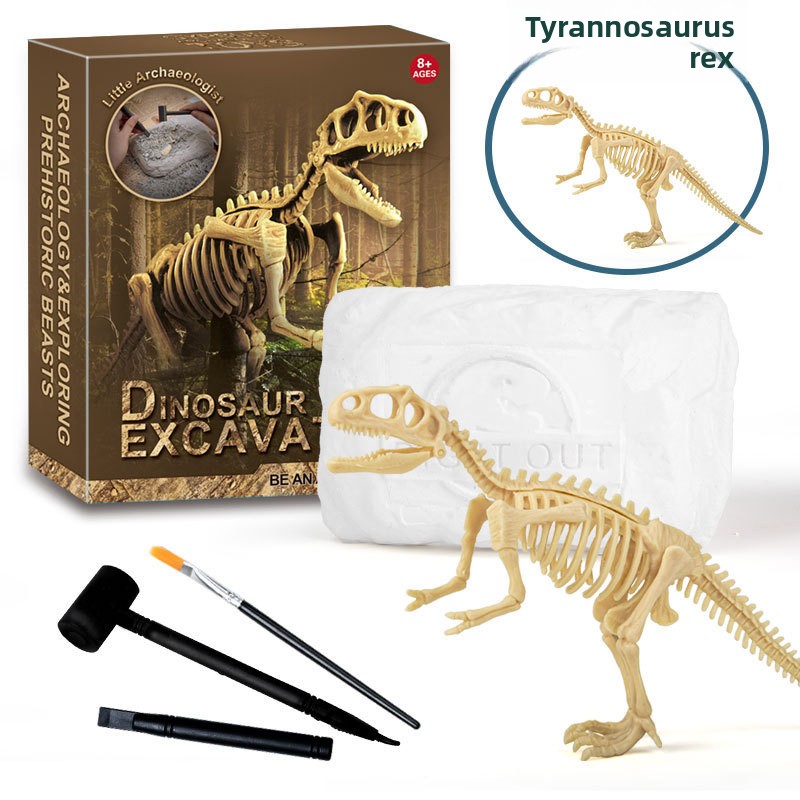 Zestaw do wykopalisk fosiliów  – Science Toys recenzja i cena